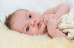 Lorelei