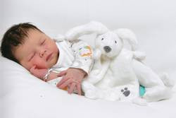 Lillith Anna